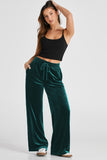 Evergreen Solid Drawstring Waist Wide Leg Pants